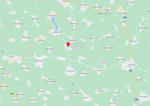 2-room house for sale, 70 m², plot 40 sotkas, Hrushky - 3/10