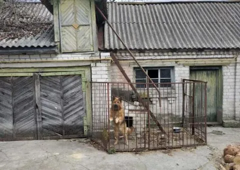 Продажа 4-комнатного дома, 98 м², Паперова фабрика, Слобода Селецкая, Житомир - 4/10