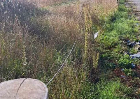 Land plot for sale for development, 11 ares, Dovzhyk - 2/7