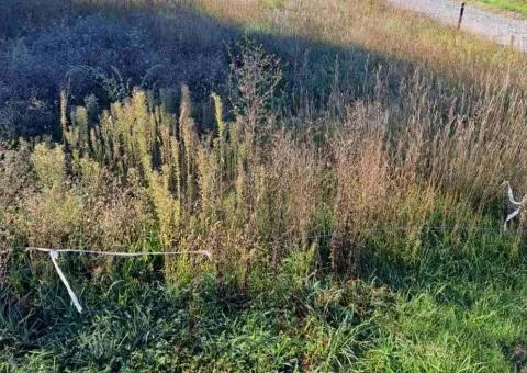 Land plot for sale for development, 11 ares, Dovzhyk - 3/7