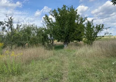 Продажа 1-комнатного дома, 20 м², с. Котельня, участок 60 сот - 3/10