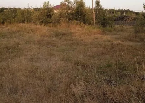 Land plot for sale, 10 sotkas, Teterivka, Zhytomyrska region - 3/3