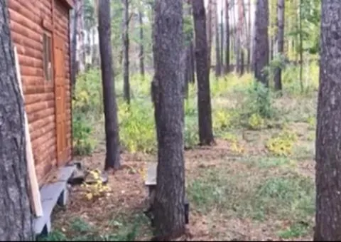 Land plot for sale 13 sotkas for construction, Pryazhiv - 3/5