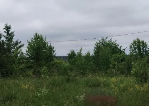 Land plot for sale for gardening, 15 sotkas, Zarichany, near Zhytomyr