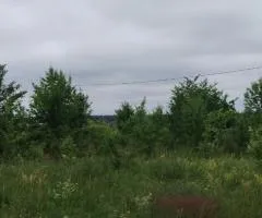 Land plot for sale for gardening, 15 sotkas, Zarichany, near Zhytomyr