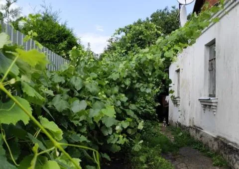 3-room house for sale, 69 m², 5 sotkas, Panchishna fabryka, Kozatska, Zhytomyr - 10/10