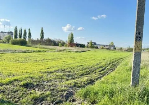 Land plot for sale, 15 sotkas, frontage 30 m, Sinhury - 3/3