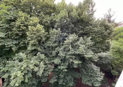 2-room apartment for long-term rent, 50 m², Novohospitalna St, Pecherskyi district, Kyiv - 5/10
