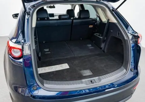 Mazda CX-9 2022, 2.5 L petrol, automatic, all-wheel drive, 73,700 km, Kyiv - 7/10