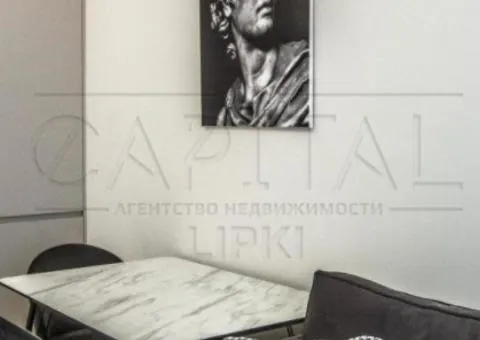 2-room apartment for rent, 50 m², Novopecherski Lypky residential complex, Drahomyrova St, Kyiv - 9/10