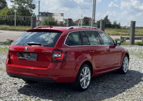 Skoda Octavia 2017, 1.6 л дизель, автомат, передній привід, 134 тис. км, Броди - 3/10