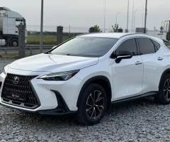 Продаж Lexus NX 2022, офіційний, на реєстрації, вул. Конюшківська, 54, Броди