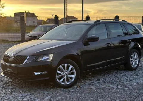 Skoda Octavia 2019, Броди