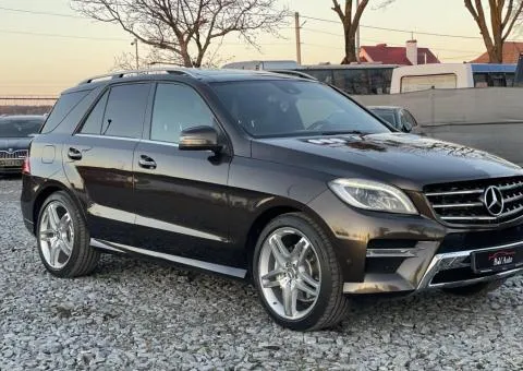 Mercedes-Benz ML-Class 2013, Броди - 2/10