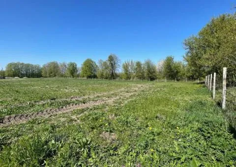 Продаж земельної ділянки, Давидківці - 5/10