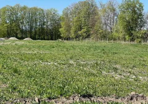 Продаж земельної ділянки, Давидківці - 7/10