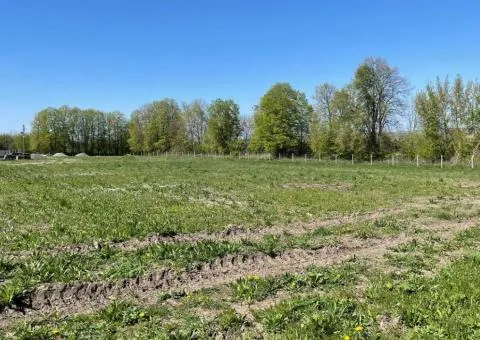 Продаж земельної ділянки, Давидківці - 8/10