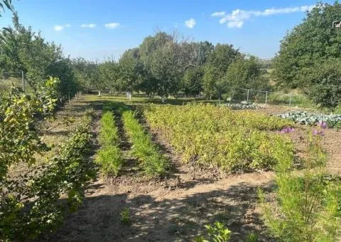 Продаж 4-кімнатного будинку, вул. Радісна, ділянка 10 соток, Хмельницький - 4/10