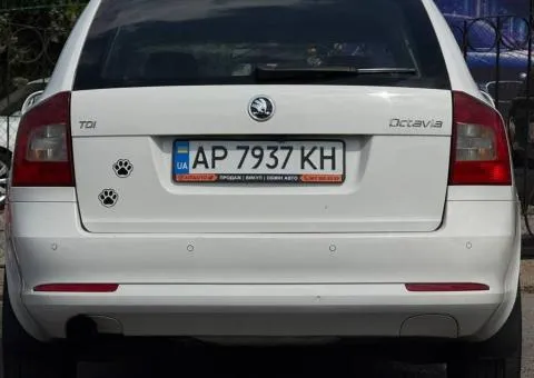 Skoda Octavia 2011, 1.6 л дизель, механіка, передній привід, 167 тис. км, Запоріжжя - 5/10