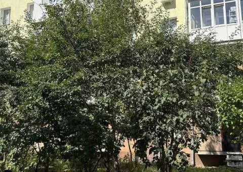 3-room apartment for sale, 77.5 m², Podillia, Vinnytsia - 3/9
