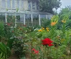 Продаж 3-кімнатного будинку, 60 м², Вінницькі Хутори