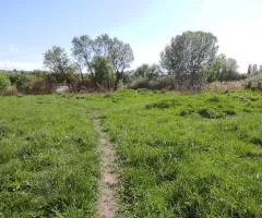 Продаж земельної ділянки, 8.3 соток, вул. Зелена, Вишенька, Вінниця