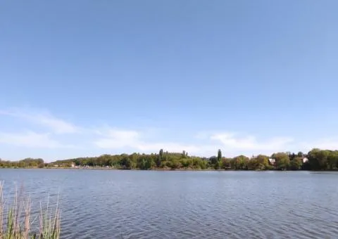 Продаж земельної ділянки, 8.3 соток, вул. Зелена, Вишенька, Вінниця - 3/9