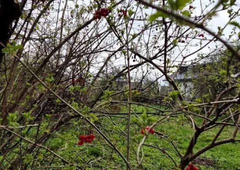 2-room house for sale, 41 m², plot 16 sotkas, Stare misto, Vinnytsia - 1/10