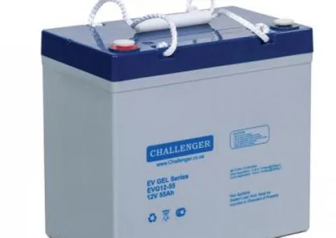 Аккумуляторная батарея Challenger EVG12-55