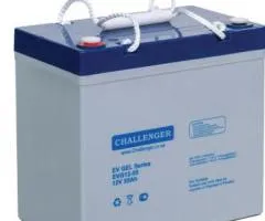 Аккумуляторная батарея Challenger EVG12-55