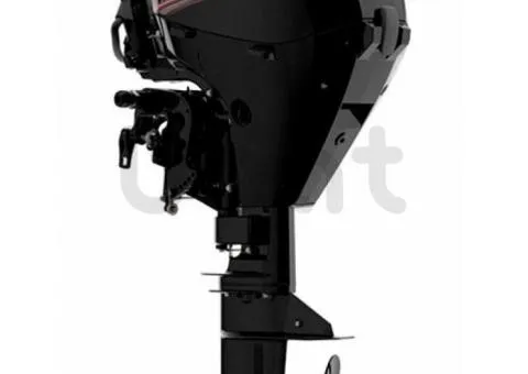 Mercury F 20 MH EFI injector outboard engine for boat - 1/3