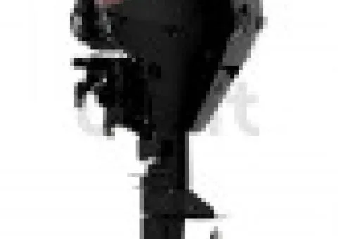 Mercury F 20 MH EFI injector outboard engine for boat - 2/3