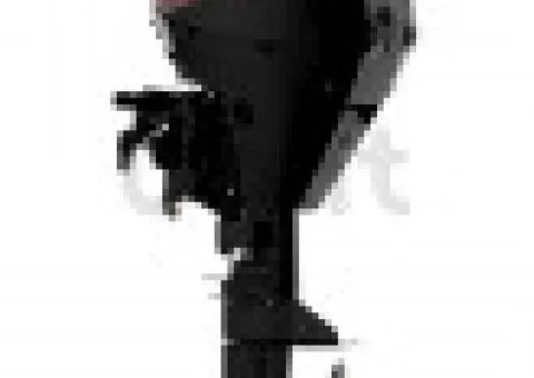 Mercury F 20 MH EFI injector outboard engine for boat - 3/3