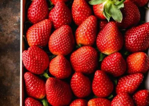 Strawberry SORAYA F1 (Soraya F1) remontant