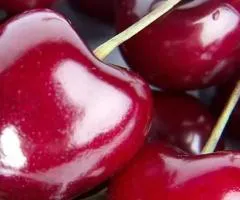 Черешня СВИТ САРЕТТА средне-позднего срока созревания (двухлетняя)