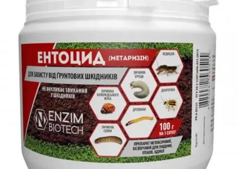 Інсектицид від грунтових шкідників Ентоцид Enzim Agro 100 г