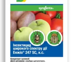 Інсектицид Енжіо Syngenta 3,6 мл