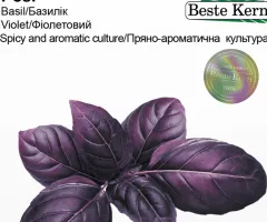 Базилік Розі Beste Kern 0,2г.
