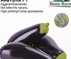 Баклажан Анатолія F1 Beste Kern 10 шт.