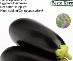 Баклажан Мінерва F1 Beste Kern 20шт.
