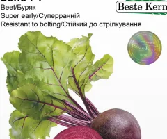 Буряк столовий Зепо F1 Beste Kern 3 г