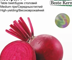Буряк столовий Кестрел F1 Beste Kern 2г.