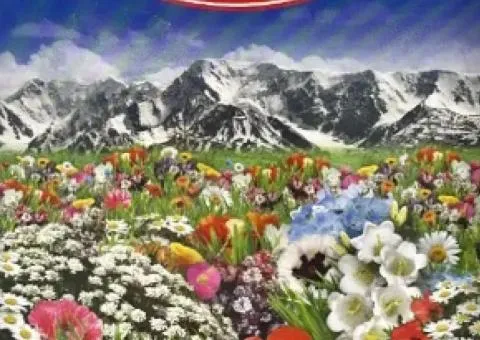 Газон Альпійський Луг GL SEEDS 200г.