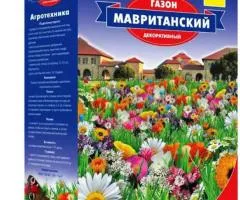 Газон Мавританський GL SEEDS 1 кг.