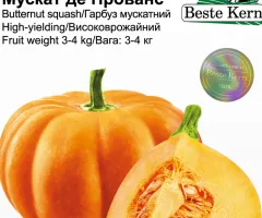 Тыква Мускат де Прованс Beste Kern 5шт.