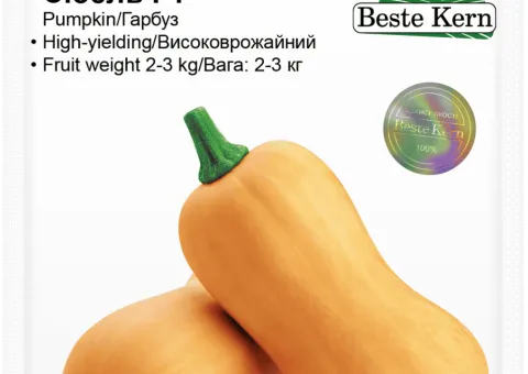 Тыква Сибель F1 Beste Kern 10 шт.