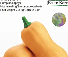Тыква Сибель F1 Beste Kern 10 шт.