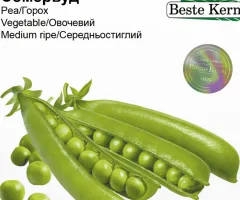 Горох Сомервуд Beste Kern 10г.