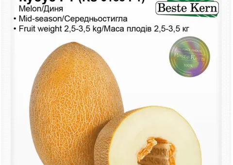 Дыня Кубус F1 (KS 6188 F1) Beste Kern 10 шт.