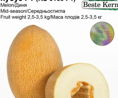 Дыня Кубус F1 (KS 6188 F1) Beste Kern 10 шт.